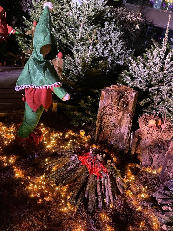Décoration forêt de Noël