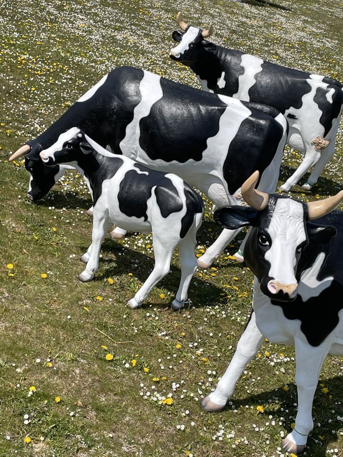 Animaux de tailles réelles