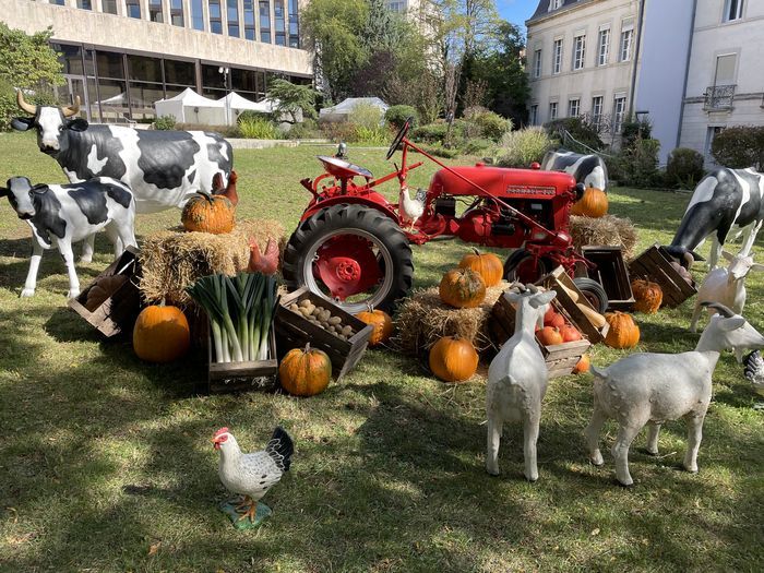 Décoration Ambiance campagne