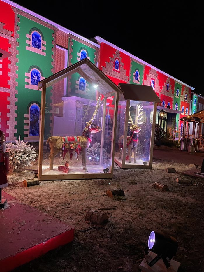 Reines de Noël grandeur nature