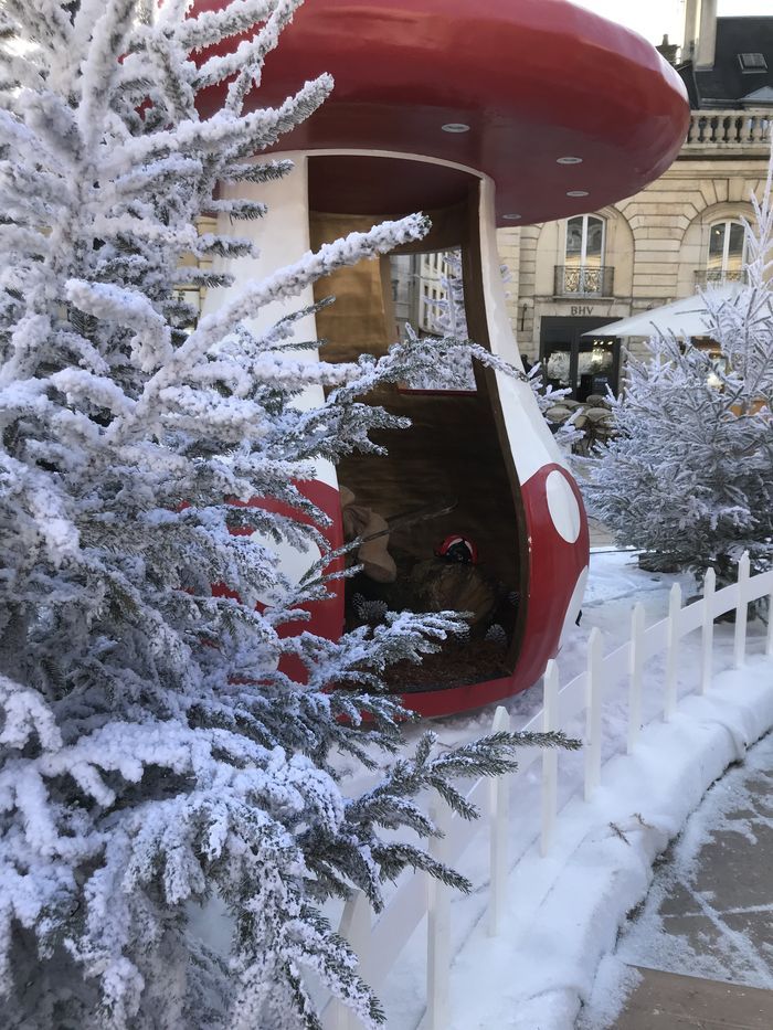 Décoration champignon