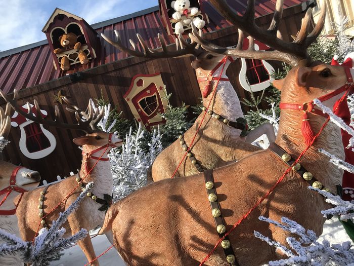 Les reines du Père Noël