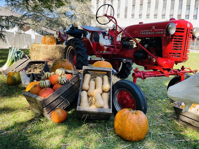 Décoration événementielle
